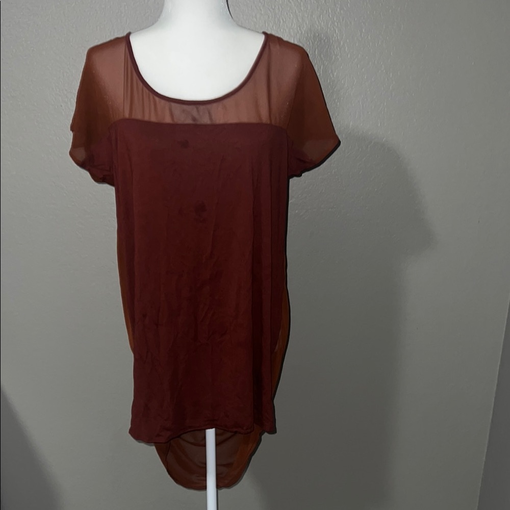 Sheer Brown Women's Top